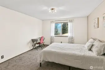 New Light and Window Have Been Ordered.