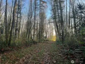 Easily cleared for your dream estate.