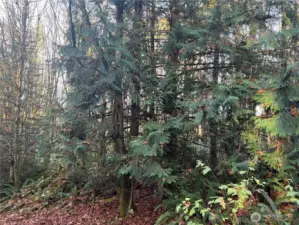 Close to Poulsbo and the Hood Canal Bridge.