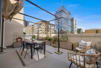 Elevated rooftop entertaining space with ample room for dining, lounging, and enjoying the surrounding cityscape.