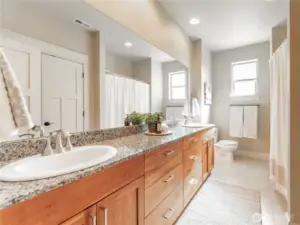 Lower level bathroom