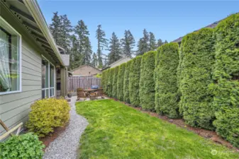 Lovely yard with privacy and room to grow