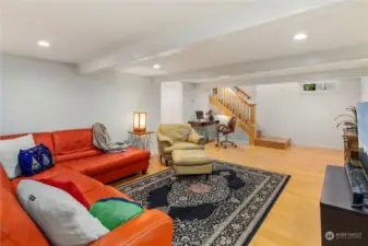 Large media/family room on lower level