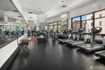 Gym, Yoga Studio, Sauna