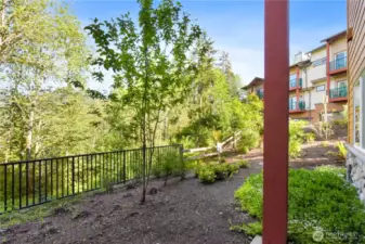 Patio View