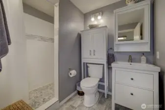 Downstairs bathroom with walk-in shower