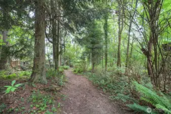 Going to upper lot, zip line to the right