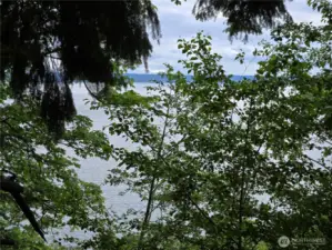 View from top of the hill looking at Puget Sound