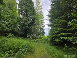 Trail down to the beach.