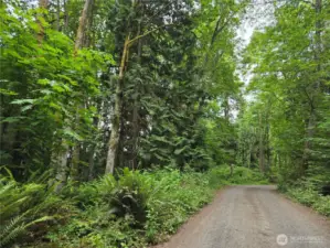 This lot is on the Left side of this road.