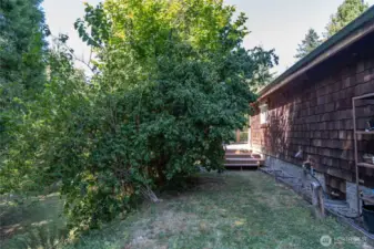 Side/Back of home. 2nd level yard with apple tree on left.