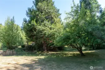 Lower yard looking towards home. Tractor barn is off camera to left. Apple tree on right. This property is completely private!