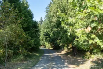 View from parking area on house level, looking down driveway towards Kamilche Pt Rd. Did we mention it is PRIVATE?