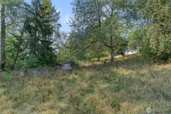 Chicken run for your own homestead
