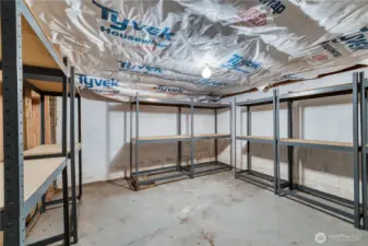 Storage in Basement