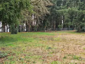 From back of lot looking toward the front. Harry Todd Park is across the street from lot.