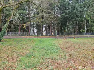 Trees across the street are part of  Harry Todd Park.