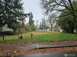 Sidewalks in street and driveway entry at property.