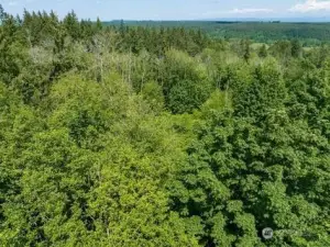 Aerial view of property.
