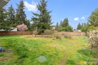 Spacious fenced backyard perfect for gardening, play, and entertaining.