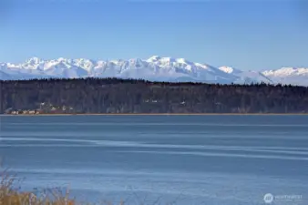 Views From The Beach