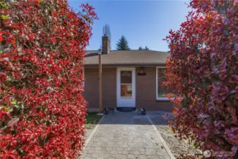 Peekaboo view of front door through the hedges