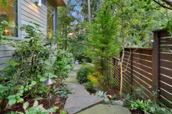 Going down the rocky path, lush professional landscaping with a variety of amazing Japanese maples, bamboo, cherry trees, camelias