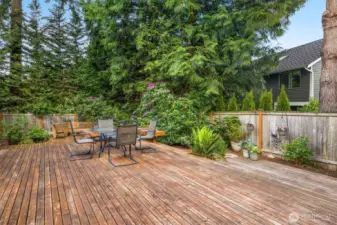Fully fenced backyard