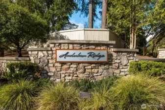 Audubon Ridge is one of the most desirable divisions in Klahanie. Block parties are commonly found here.