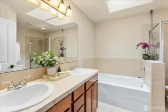 5 piece bath with great skylight rays/natural light
