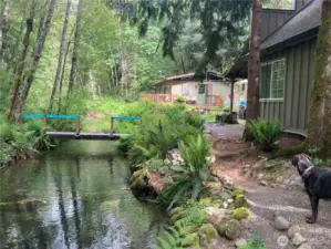 Enjoying The tranquil surroundings from a Creekside fire pits