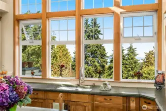 gorgeous windows capture natural light & views