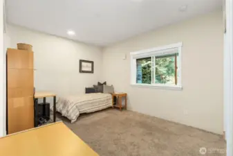 Downstairs Bedroom