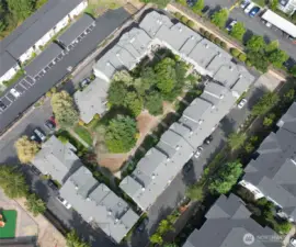 Bird's Eye view!