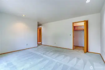 Primary bedroom with walk-in closet