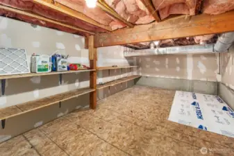 Crawl space front room to the right of the entry. Contains a wall of shelves.