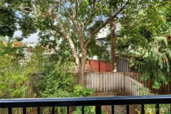 The shady backyard is fully fenced and makes a great space for BBQ's, gatherings, pets or play. The backyard is approximately 536 sq ft.