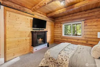 Electric Fireplace to Covey