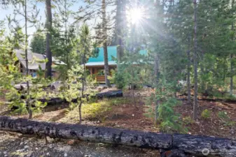 Pure Seclusion on Flat .5 Acre Lot