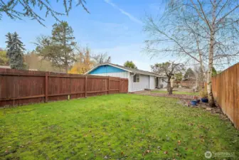 From south end of backyard looking north toward the firepit area beyond the trees.