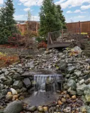 The water fall with the bridge are part of the "oasis" in the private back yard.