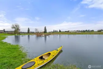 Back 2.5 acres during rain season, perfect to kayak in.
