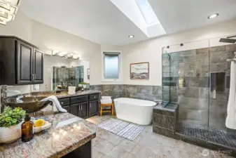 Primary spa-like bathroom.