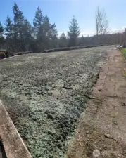 Newly seeded and much larger useable backyard space. (After new septic work was completed.)