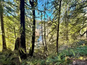 Filtered view of river could be improved with select trimming.