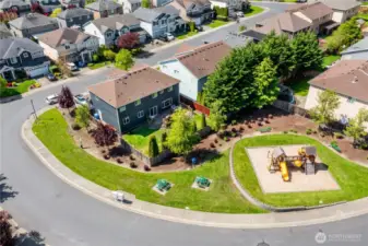 arial view