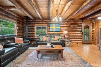 Gas Wood Stove