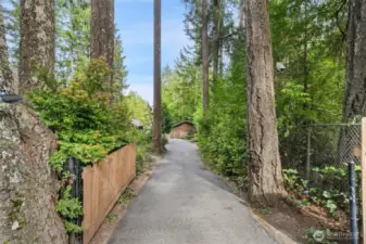 Tree Lined Drive Entry