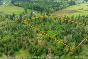 Arial View Rear of Property with Lines