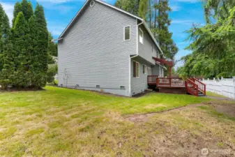 Side and back yard.